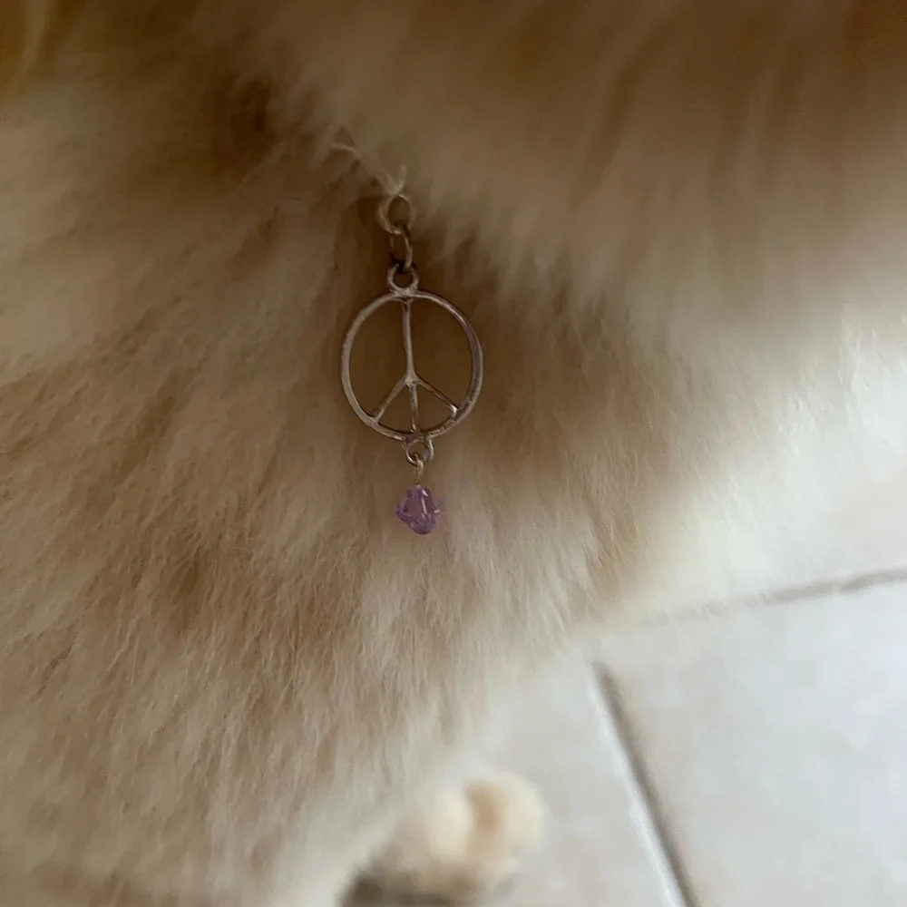 ☮️Silver peace sign dog collar charm - Picture 3 of 4
